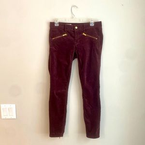 Gap Always Skinny Velvet Moto Jeans